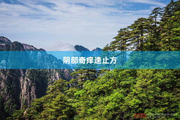阴部奇痒速止方