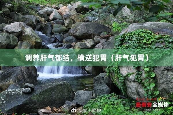 调养肝气郁结，横逆犯胃（肝气犯胃）