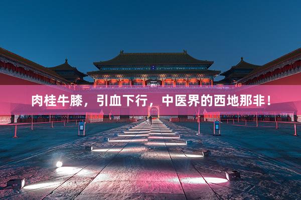 肉桂牛膝，引血下行，中医界的西地那非！