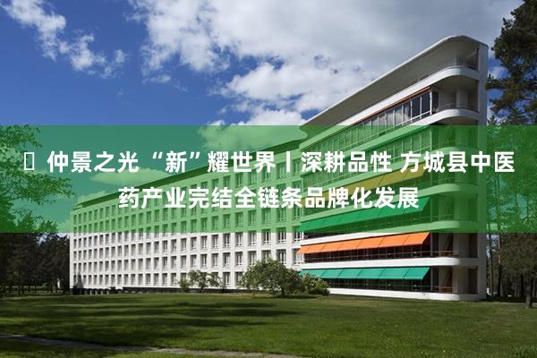 ​仲景之光 “新”耀世界丨深耕品性 方城县中医药产业完结全链条品牌化发展