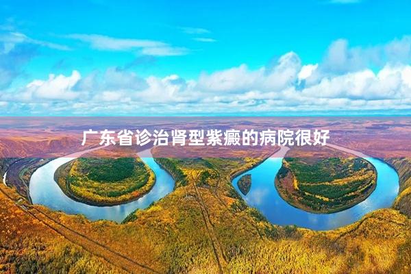 广东省诊治肾型紫癜的病院很好
