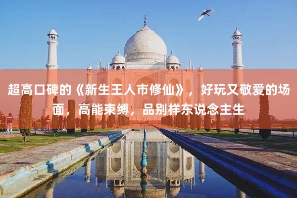 超高口碑的《新生王人市修仙》，好玩又敬爱的场面，高能束缚，品别样东说念主生