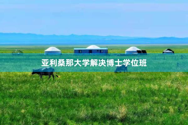 亚利桑那大学解决博士学位班