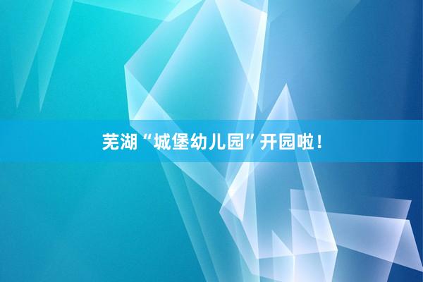 芜湖“城堡幼儿园”开园啦！