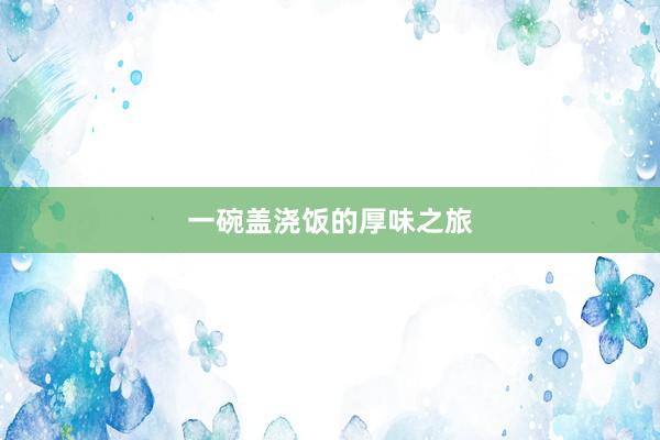 一碗盖浇饭的厚味之旅