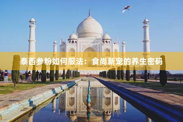 泰西参粉如何服法：食尚新宠的养生密码