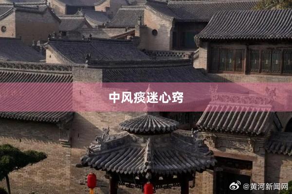 中风痰迷心窍