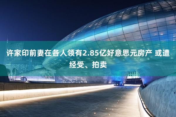 许家印前妻在各人领有2.85亿好意思元房产 或遭经受、拍卖