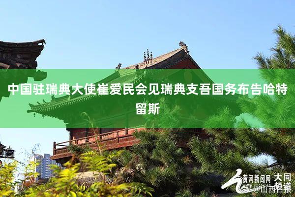 中国驻瑞典大使崔爱民会见瑞典支吾国务布告哈特留斯