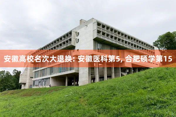安徽高校名次大退换: 安徽医科第5, 合肥硕学第15