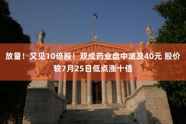 放量！又见10倍股！双成药业盘中波及40元 股价较7月25日低点涨十倍