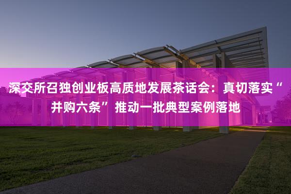 深交所召独创业板高质地发展茶话会：真切落实“并购六条” 推动一批典型案例落地