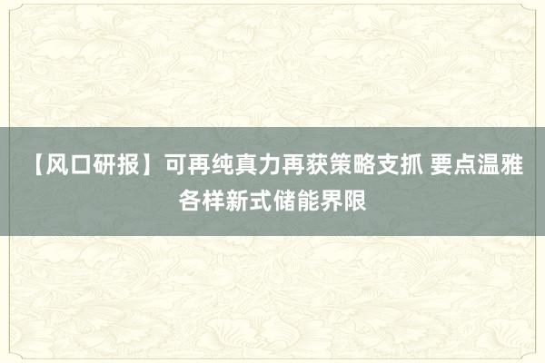 【风口研报】可再纯真力再获策略支抓 要点温雅各样新式储能界限