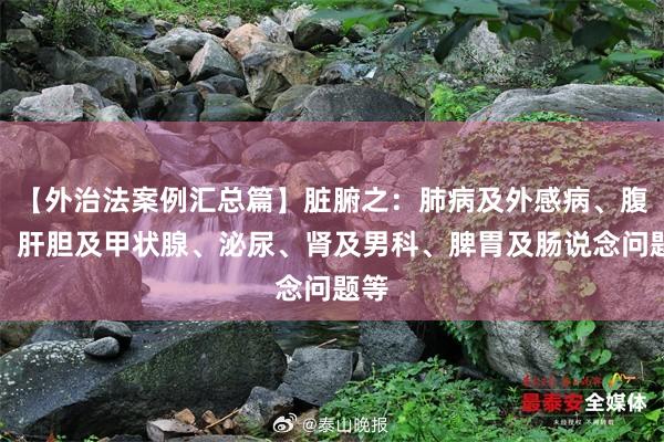【外治法案例汇总篇】脏腑之：肺病及外感病、腹黑、肝胆及甲状腺、泌尿、肾及男科、脾胃及肠说念问题等