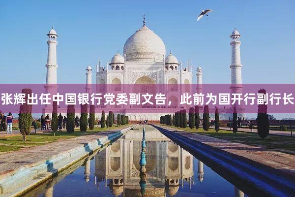 张辉出任中国银行党委副文告，此前为国开行副行长