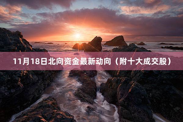 11月18日北向资金最新动向（附十大成交股）