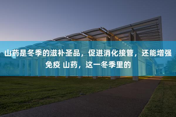山药是冬季的滋补圣品，促进消化接管，还能增强免疫 山药，这一冬季里的