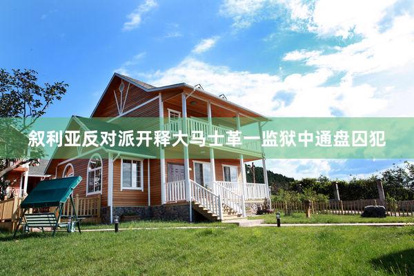 叙利亚反对派开释大马士革一监狱中通盘囚犯