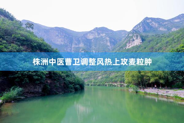 株洲中医曹卫调整风热上攻麦粒肿